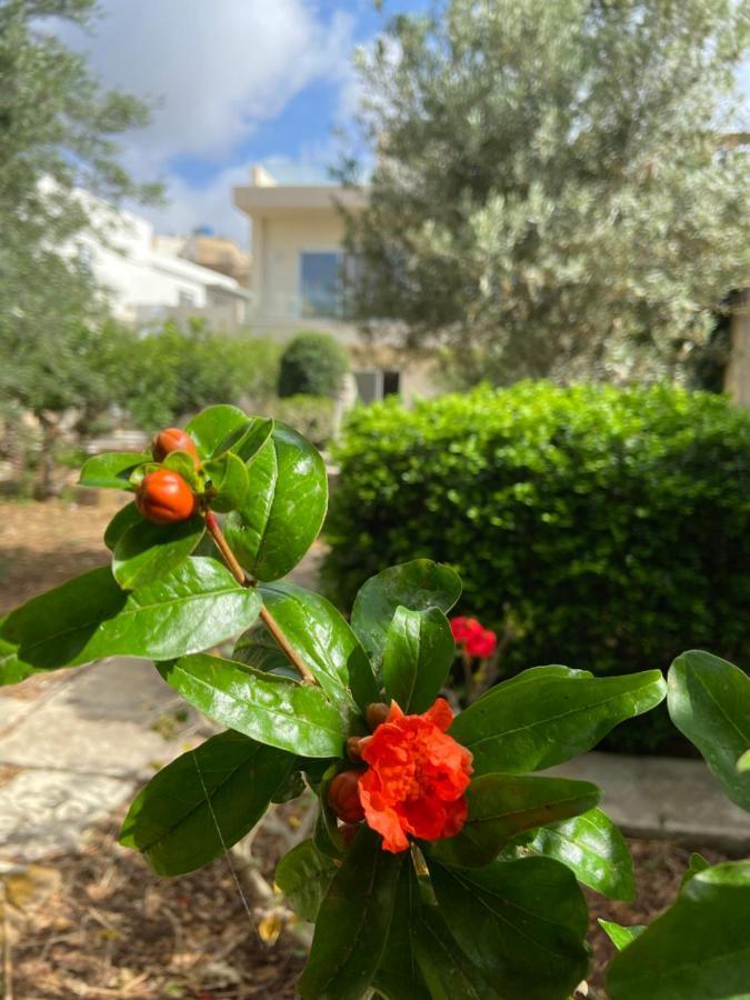 Maltese Garden Villa Mosta Exteriör bild