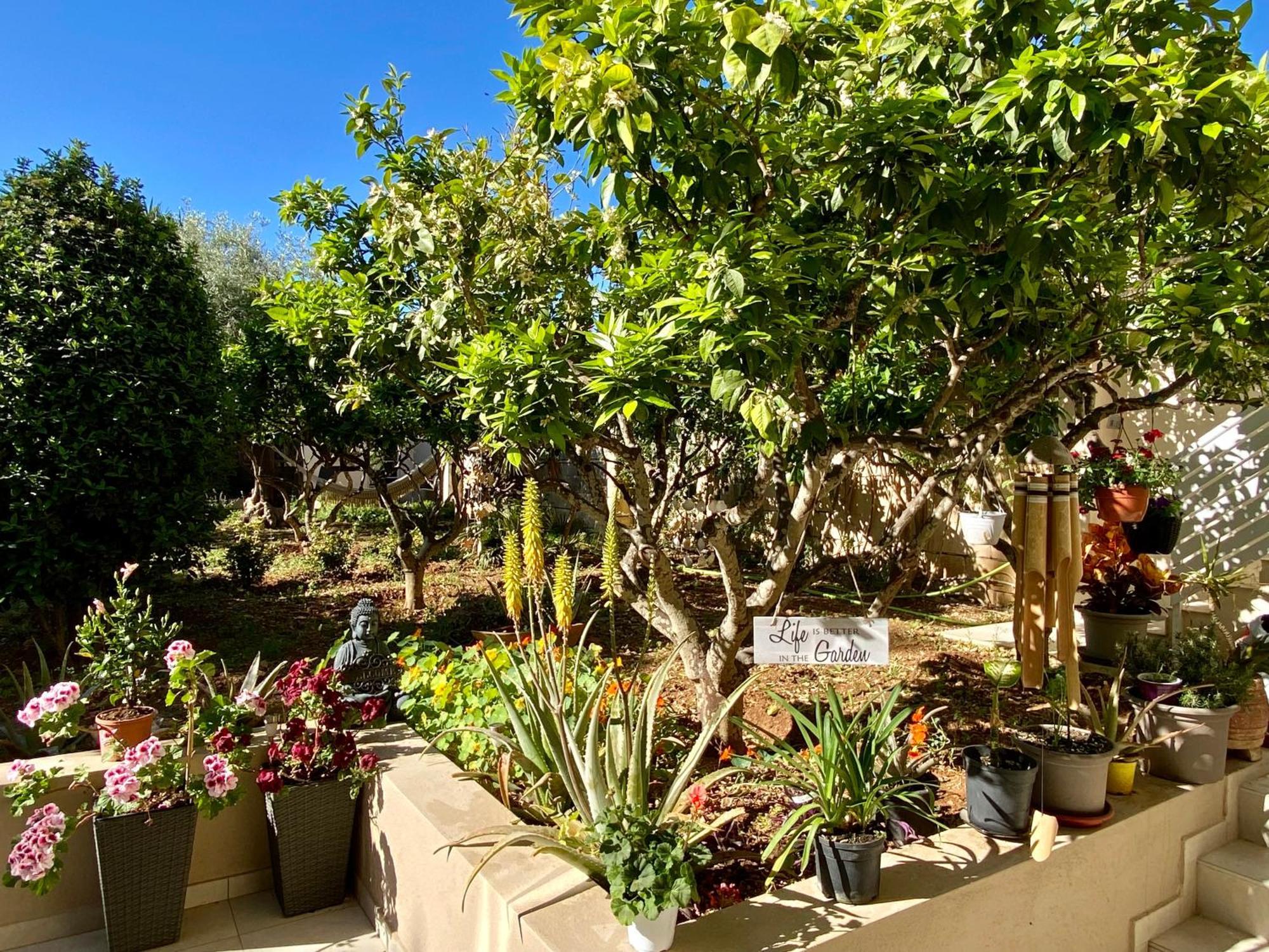 Maltese Garden Villa Mosta Exteriör bild