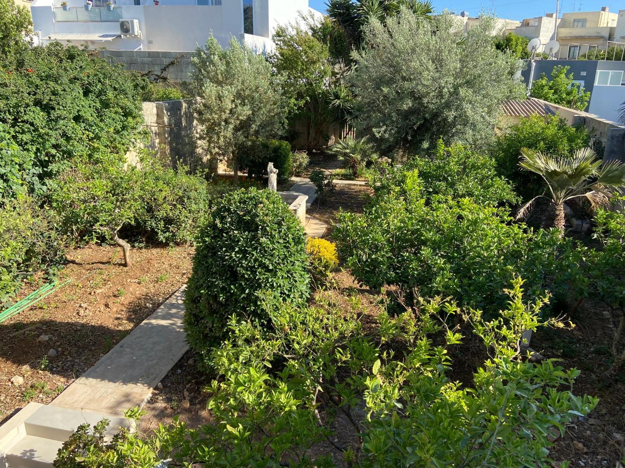 Maltese Garden Villa Mosta Exteriör bild